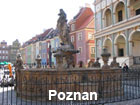 Pictures of Poznan