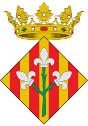 website of the city of Lleida  - el web de la ciudad de Lleida