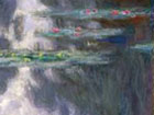 Monet Water Lilies by Museum of Fine Arts Houston