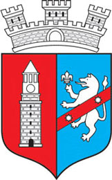website of the city administration of Tirana