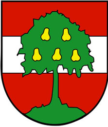 city of Dornbirn