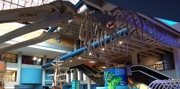 Museu de Ciências e Tecnologia (PUCRS)