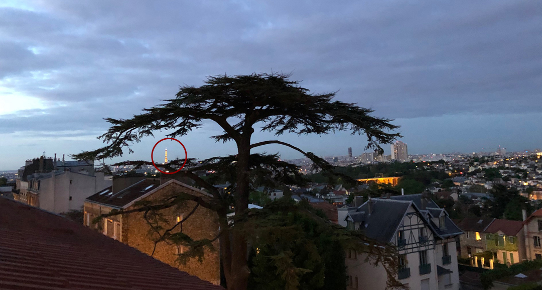 Cedar Meudon view