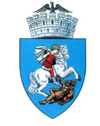 Website of the City of Craiova