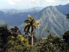 Pico Turquino 2005m, highest mountain of Cuba