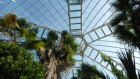 Conservatory and Botanical Garden