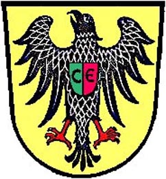discover the website of the city of Esslingen
