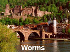 Pictures of Worms