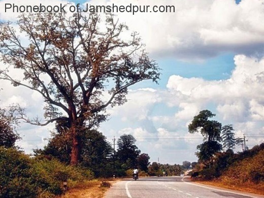 Pictures of Jamshedpur