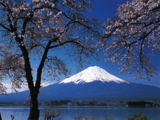 Fuji San seen from the country