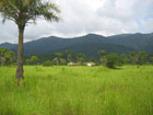 Mount Wuteve 1380 m, highest point of Liberia
