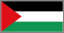 flag of Palestine 