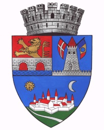 Website of the City of Timisoara