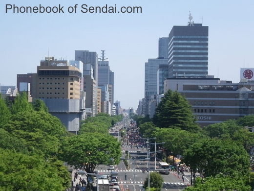 Pictures of Sendai