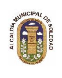 Website of the City Administration of Soledad