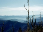 Dlingmans Dome, highest point of Tennessee