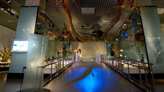 National Museum of Nature and Science