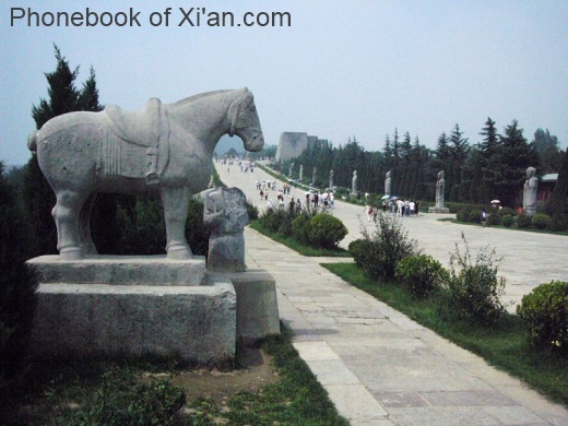 Pictures of Xian