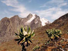 Mount Stanley 5110m, highest mountain of Zaire and Uganda